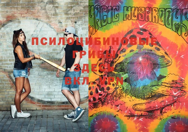 мяу мяу мука Алексеевка