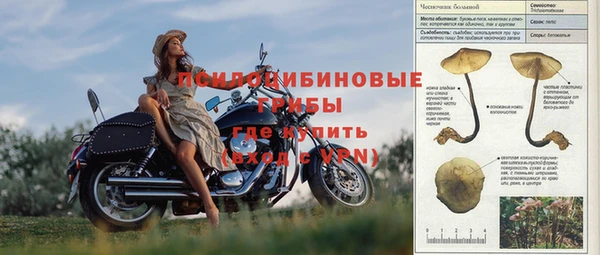 ALPHA-PVP Алзамай