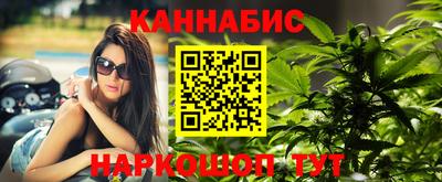 индика Гусиноозёрск