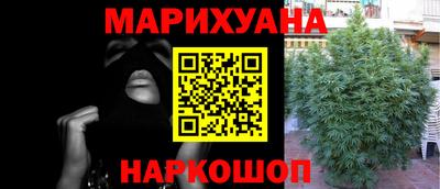 индика Гусиноозёрск