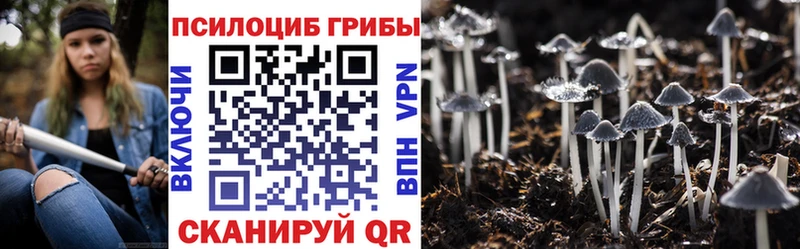 Псилоцибиновые грибы Psilocybine cubensis  купить закладку  МЕГА ссылки  Люберцы 