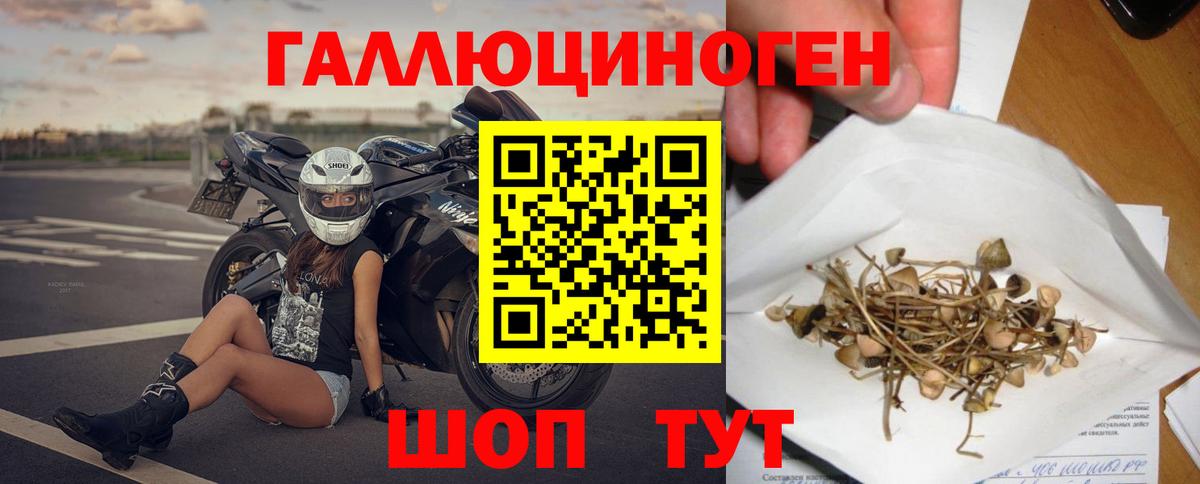 Галлюциногенные грибы мицелий Люберцы
